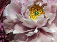 新聞｜我公司當(dāng)選河南省人民對(duì)外友好協(xié)會(huì)理事單位，創(chuàng)始人李治國(guó)當(dāng)選理事并接受河南日?qǐng)?bào)與河南衛(wèi)視的采訪(fǎng)。